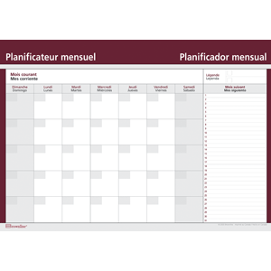 PLANEADOR MENSUAL BLUELLINE (17*24 PULGADAS, LISO)