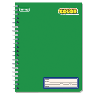 CUAD PROF NORMA COLOR 100H RAY