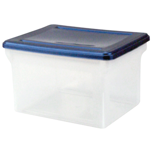 CAJA (PLASTICA, ORGANIZADORA, CON TAPA, 12 LTS) CAJA (PLASTICA, ORGANIZADORA, CON TAPA, 12 LTS)