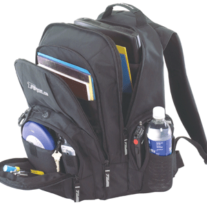 MOCHILA PARA LAPTOP 15.4 PULGADAS TARGUS (NEGRO) MOCHILA PARA LAPTOP 15.4 PULGADAS TARGUS (NEGRO)