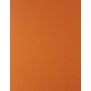 CARTULINA ROYAL CAST (NARANJA 65X50 CM.)