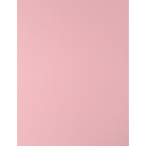 CARTULINA ROYAL CAST (ROSA 65X50 170 GRAMOS)