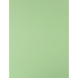 CARTULINA ROYAL CAST (VERDE PALIDO 65X50 170GRS)