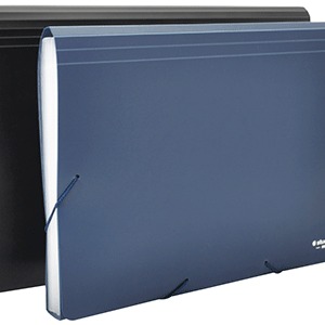 FOLDER EXPANDIBLE STUDMARK (OFICIO, 12 DIVISIONES) FOLDER EXPANDIBLE STUDMARK (OFICIO, 12 DIVISIONES)
