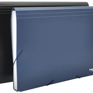 FOLDER EXPANDIBLE STUDMARK (OFICIO, 12 DIVISIONES) FOLDER EXPANDIBLE STUDMARK (OFICIO, 12 DIVISIONES)