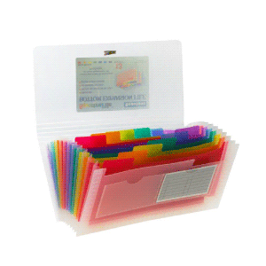 ARCHIVADOR BEAUTONE CHEQUE (SPECTRAFILE)