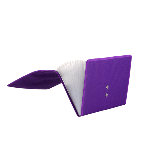 ARCHIVO EXPANDIBLE T/C 13 DIV.