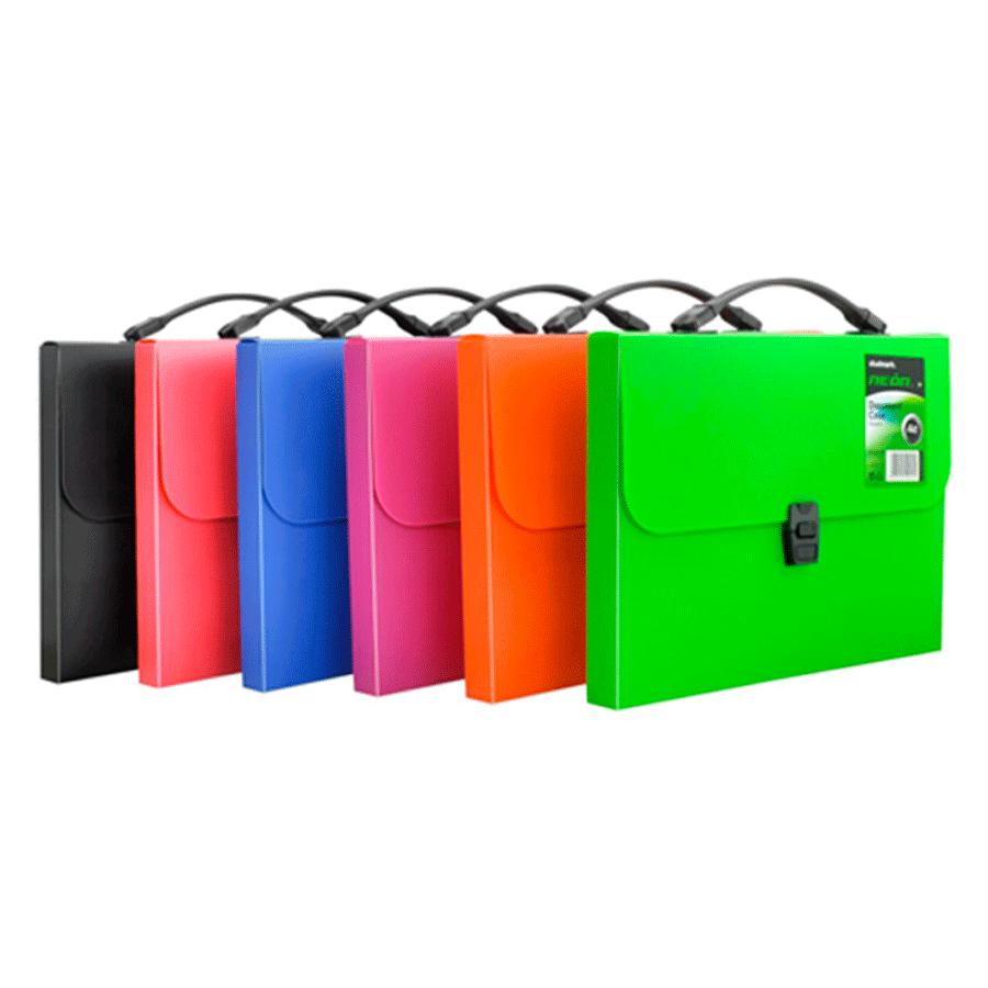 MALETIN STUDMARK (CARTA, NEON, CON BROCHE)