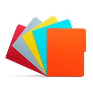 FOLDER T/CARTA COLORES SURTIDO PAQ. 100 UNIDADES FOLDER T/CARTA COLORES SURTIDO PAQ. 100 UNIDADES