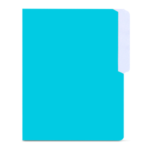 FOLDER COLOR AZUL TURQUESA T/ CARTA FACELA PAQ. 100 UNID FOLDER COLOR AZUL TURQUESA T/ CARTA FACELA PAQ. 100 UNID