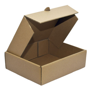 CAJA DELIVERY GRANDE (MEDIDAS: 30.5 X 28 X 10.2 CM) CAJA DELIVERY GRANDE (MEDIDAS: 30.5 X 28 X 10.2 CM)