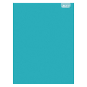 CUADERNO COSIDO LIDER UNICOLOR 100H CUADERNO COSIDO LIDER UNICOLOR 100H