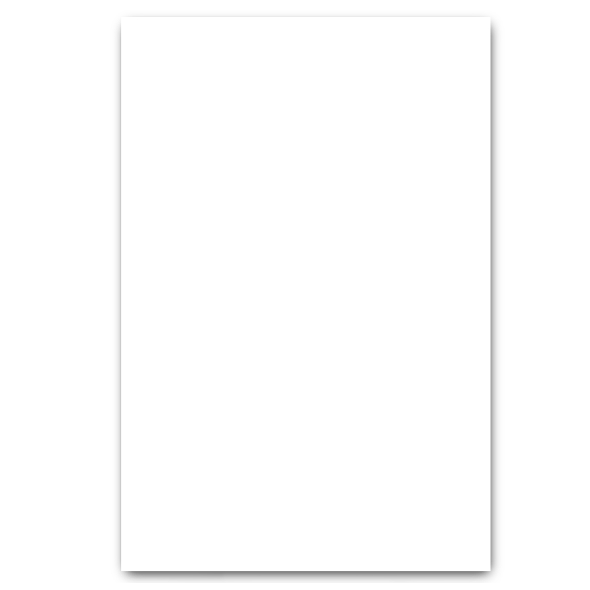 CARTULINA BLANCA 220G PAQ10