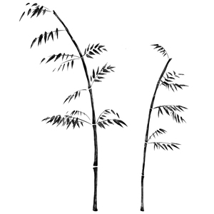 VINIL DECORATIVO BAMBOO VINIL DECORATIVO BAMBOO