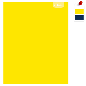 CUADERNO COSIDO RAYA LÍDER (UNICOLOR, 100 HOJAS) CUADERNO COSIDO RAYA LÍDER (UNICOLOR, 100 HOJAS)