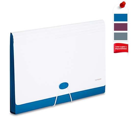 ARCHIVO EXPANDIBLE 13BOLSAS