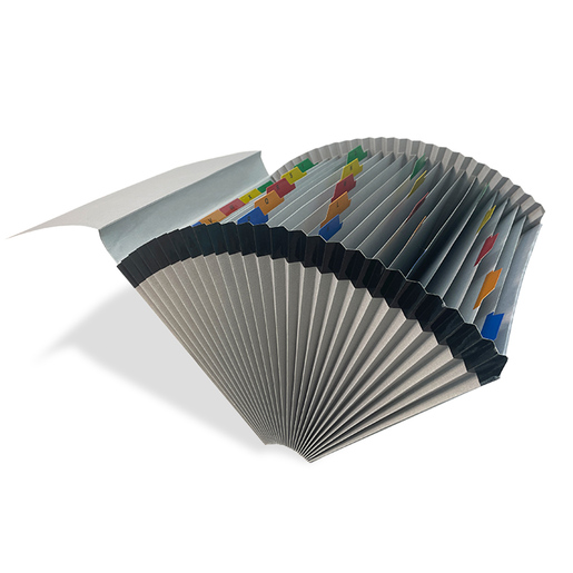 ARCHIVO EXPANDIBLE CARTA