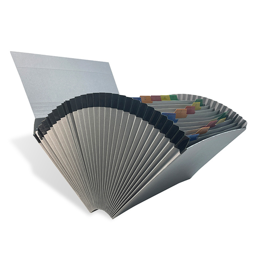 ARCHIVO EXPANDIBLE CARTA