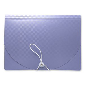 FOLDER EXPANDIBLE 24 FOLDER EXPANDIBLE 24