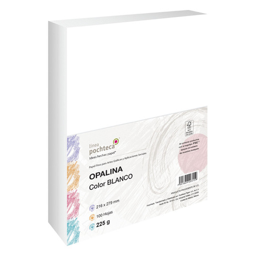 CARTULINA OPALINA 225G TC 100H