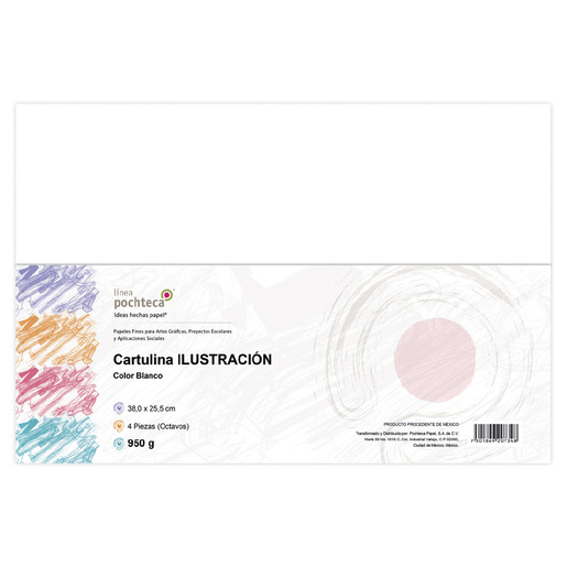 CARTULINA ILUSTRACION 38X25.5 PQ 4PZ