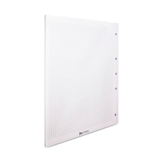 HOJAS CARPETA C5 100H