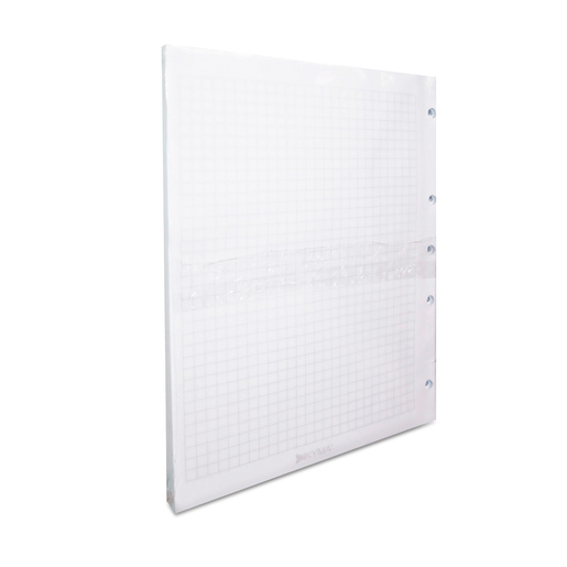 HOJAS CARPETA C7 100