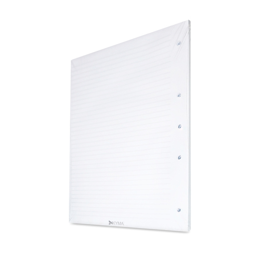 HOJAS CARPETA RAYA 100