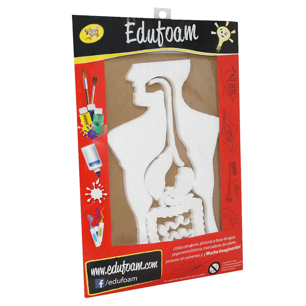 MAQUETA SISTEMA DIGESTIVO